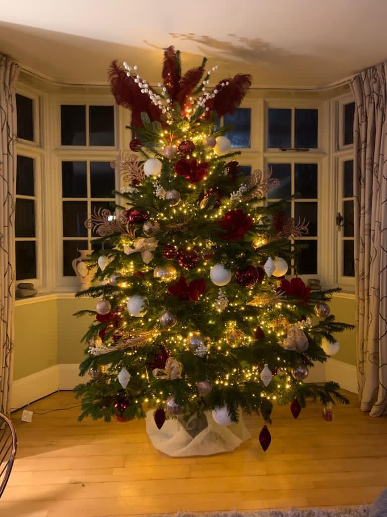 red Christmas tree decorations red Christmas tree decorations